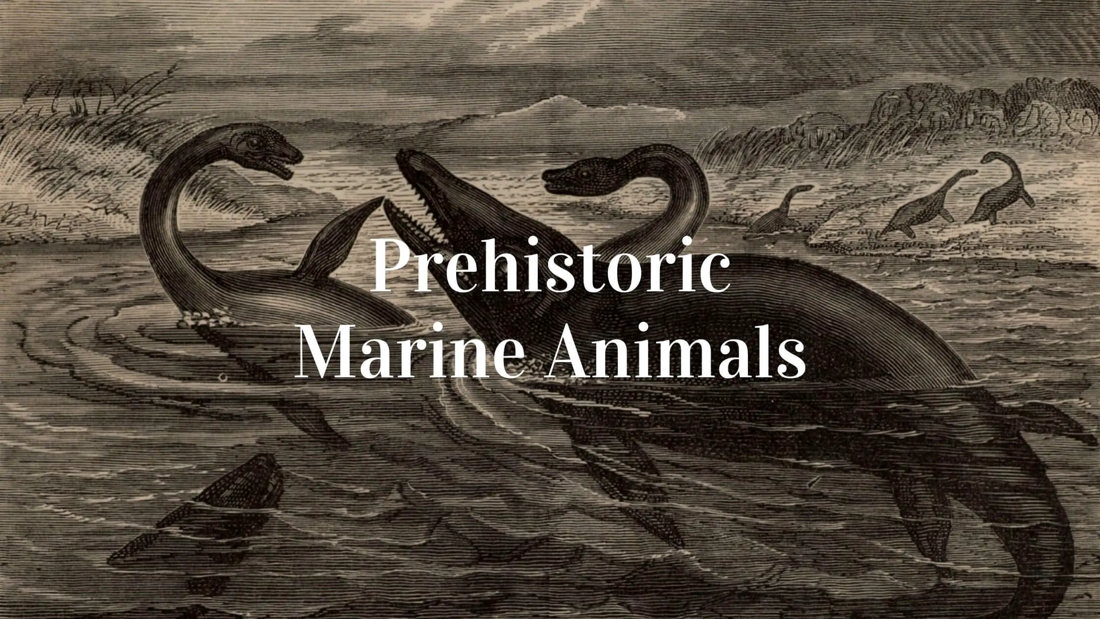 7 Prehistoric marine animals that will intrigue you - Proto Animal