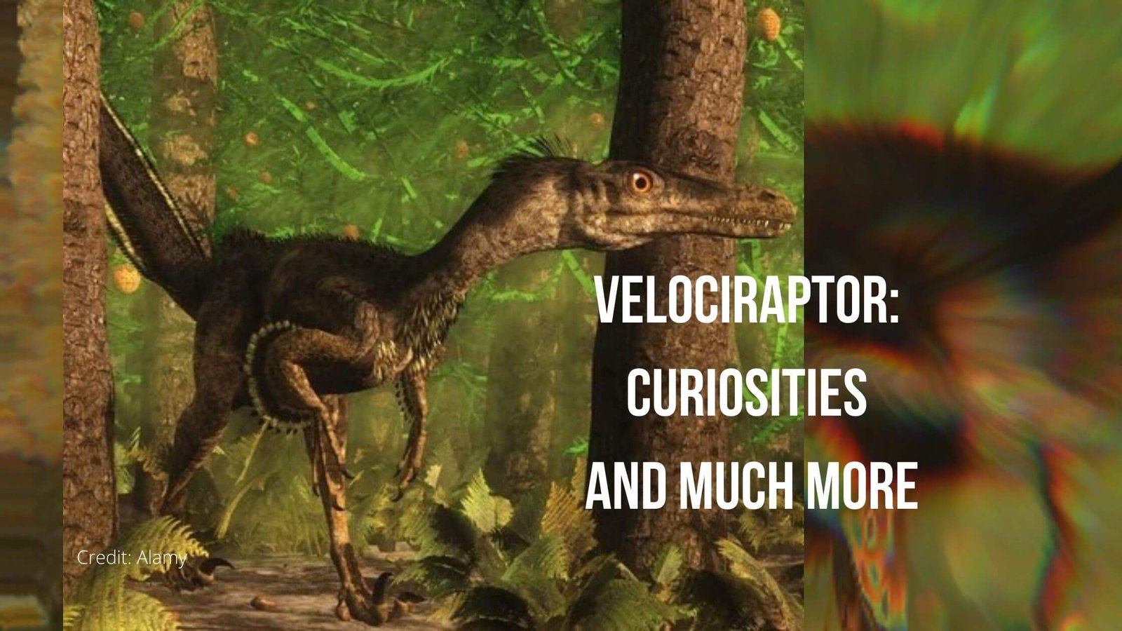 Velociraptor - Description, Habitat, Image, Diet, and Interesting Facts