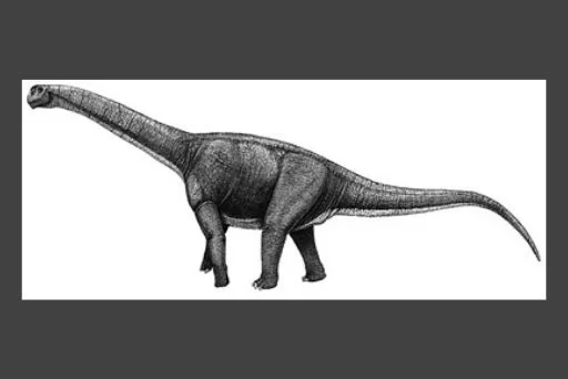 Herbivorous Dinosaurs