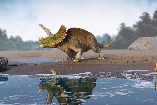 Herbivorous Dinosaurs