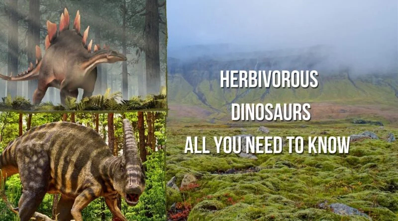Herbivorous Dinosaurs