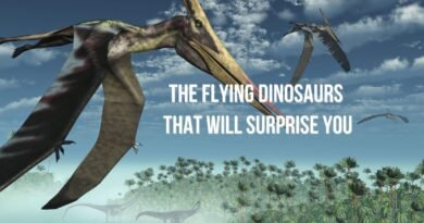 the flying dinosaurs