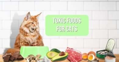 toxic food for cat