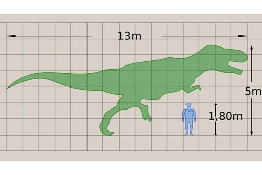 how much did t rex weigh