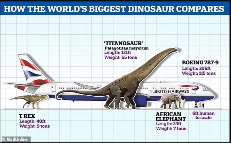 the largest dinosaur