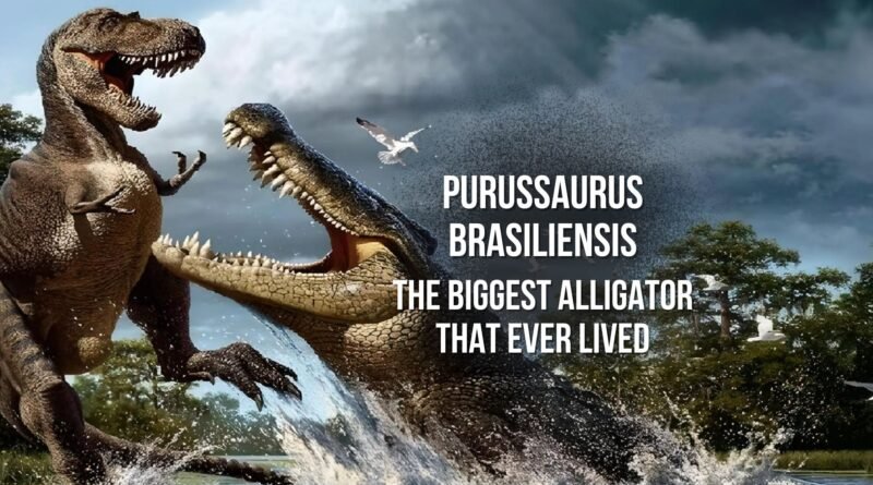 Purussaurus